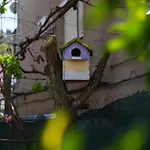 Positive - слънчев уют и огромна веранда в сърцето на بيتريتش